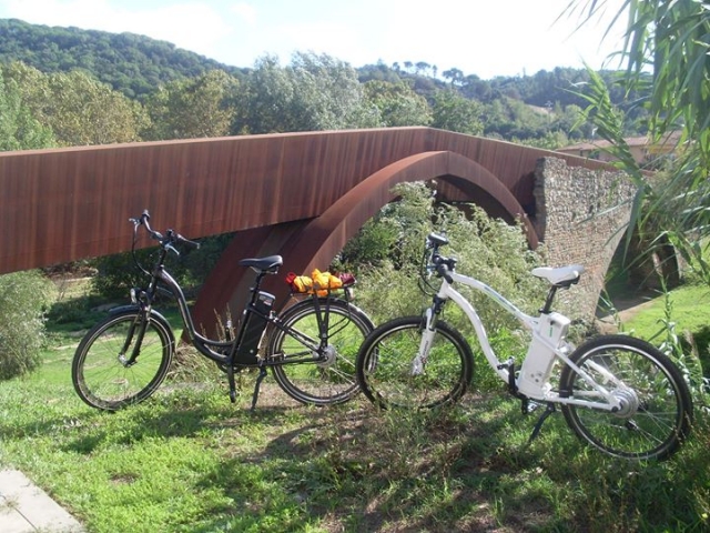  Biciclette elettriche 